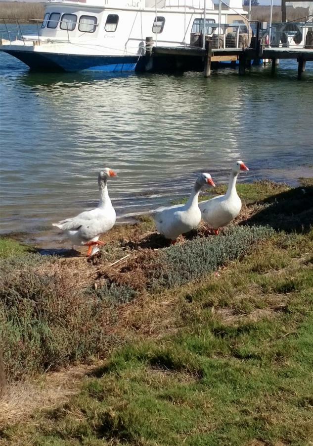 Kingfisher By The River - Self Catering Velddrif Esterno foto